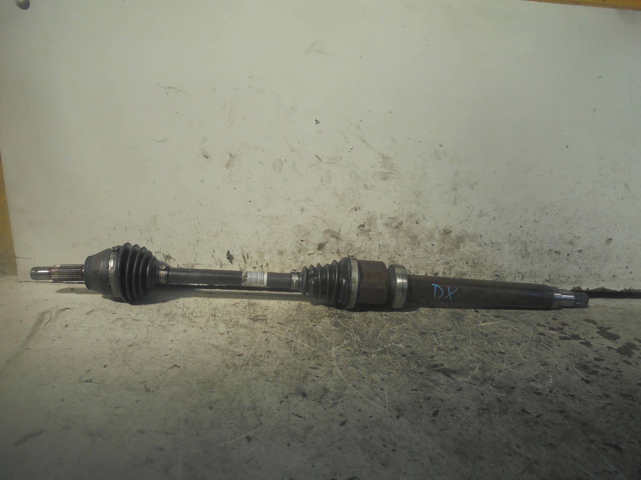 Semialbero ant. compl. dx.